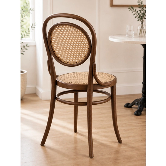 Vienna 50 Viennese chairs Progetto Sedia 2